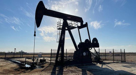 TPAO'nun ana statüsünde değişikliğe gidildi