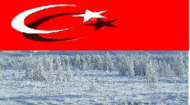 Türk şirketi Kuzey Kutbu'nu keşfetti!