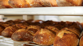 Fırıncılar Federasyonu Başkanı'ndan ekmek fiyatı açıklaması: '10 lira olması söz konusu değil'