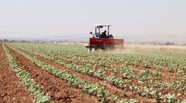 Bakan Yumaklı açıkladı: Kırsal kalkınma projelerine 1.2 milyar lira hibe