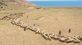 Ayda 40 bin TL kazandırıyor! Eleman bulunamıyor