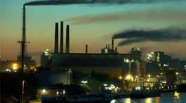 Türkiye'nin Avrupa şampiyonu fabrikaları...