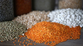 TMO, 10 milyon ton hububat alacak