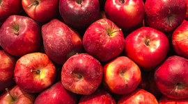 Elmada tarladan markete fiyat farkı beş kat!