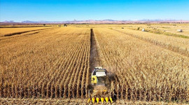 Tarım, gıda ve içecek sektöründen 6 ayda 12,23 milyar dolarlık ihracat