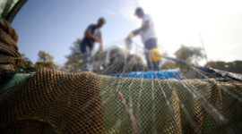 Balıkçılar yeni sezona "vira bismillah" diyecek