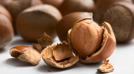 Fındık fiyatlarında rekor üstüne rekor