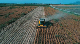 Çiftçilere bu yıl için ödenecek tarımsal destekler belli oldu