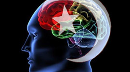 Batıyı beynen göçürtüyoruz!