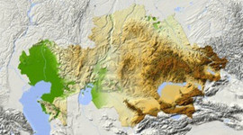 Bozkır milyonerleri!