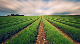 Tarım ve kırsal kalkınmaya büyük destek