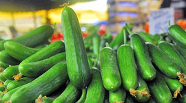 Şubat ayında en çok salatalığın fiyatı arttı