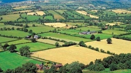 2B arazi satışında süre uzatıldı