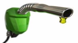 5 şirketin petrol arama isteği reddedildi