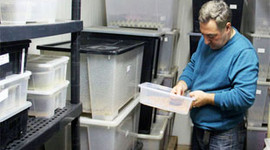 Antalya'ya hamam böceği fabrikası kurdu!