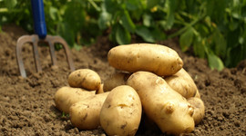 110 bin tonu saklamış