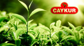 ÇAYKUR'a rekor başvuru!