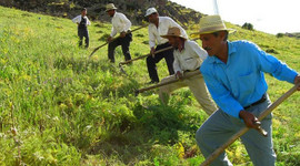 Çiftçilere ne kadar mazot desteği verildi?