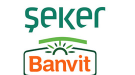 Piliçlerin dev flörtü!