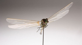 Casus cihazlara dikkat!