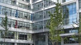 Google‘dan yeni şirket