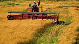 Tarım sektörü 2012'de büyüdü