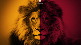 G.Saray'dan yılın bombası