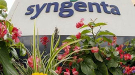 Syngenta'dan '42 milyar dolarlık' teklife ret