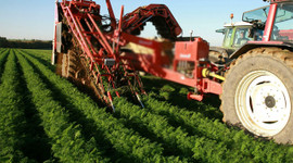 Çiftçilerin kredileri yeniden yapılanıyor!