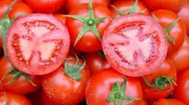 Domates 5, patates 3 lira olacak