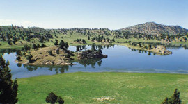 Cimbom ve Kartal'ın arazi savaşı!