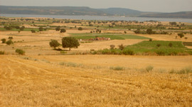 Bakan uyardı: Arazilerinizi satmayın