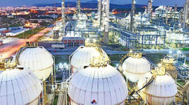 Petkim'de FETÖ şüphelisi 24 kişi firarda