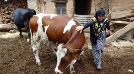 O çifte bir müjde daha...