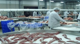 Aytaç Et'te üretim durdu