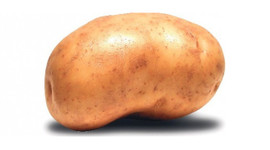 Milli patates planı!