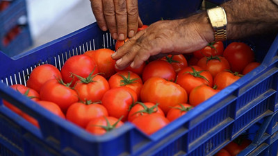 'Domates fiyatı hafta sonundan itibaren düşer'