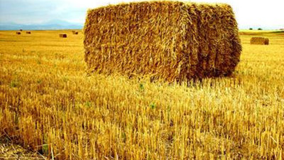 Samanlık seyran olmadı!