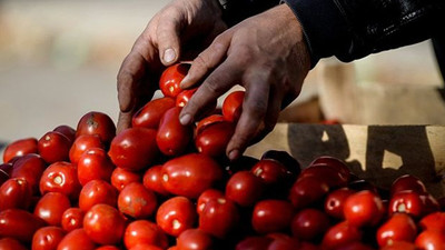 "Türkiye'den domates ithal etmeye hazır değiliz"