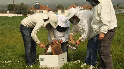 2 ayda 100 bin lira kazanç