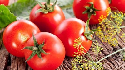 Rusya: Türkiye’den domates alabiliriz
