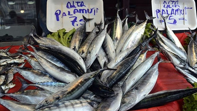 Karadeniz'de palamut bereketi