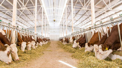 Tarım ve hayvancılık girişimcisine devletten 1.5 milyar lira hibe