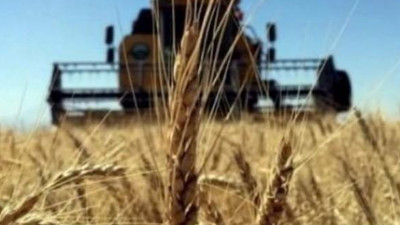 Ukrayna'dan Türkiye'ye buğday önerisi