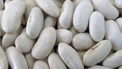 Kuru fasulye etle yarışıyor