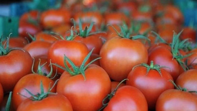 Rusya, Türk domatesine yönelik kısıtlamaları kaldırabilir