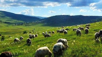 Müjde! Halkın hizmetine açılıyor