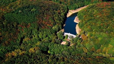 İstanbul'a dev kent ormanı kuruluyor