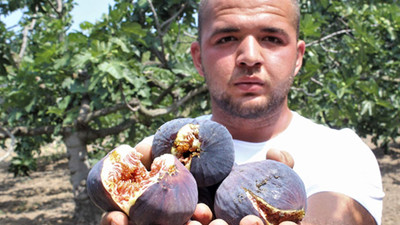 Sadece Bursa'da yetişiyor!