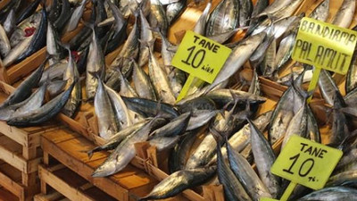 Tanesi 10 liraya düştü